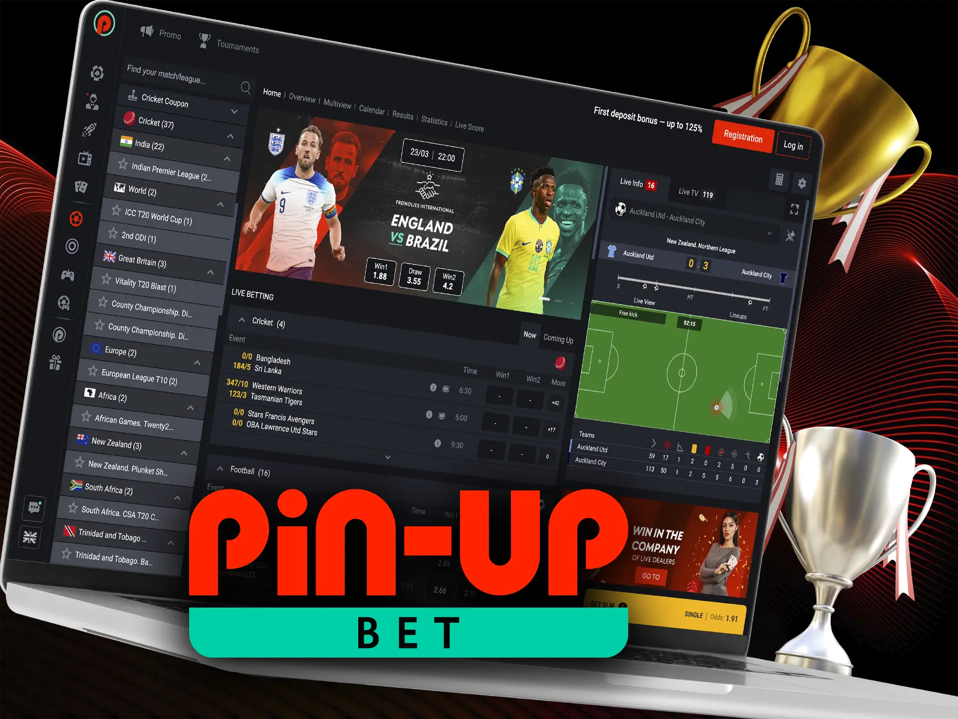 Put your sports knowledge to the test and make informed bets on the world's most famous cricket leagues at Pin Up.